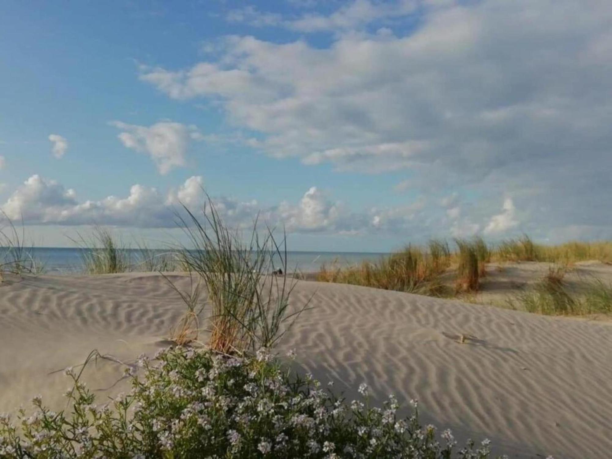 Chic Chalet In Quend Plage Les Pins With Barbecue Eksteriør bilde